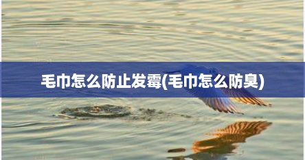 毛巾怎么防止发霉(毛巾怎么防臭)