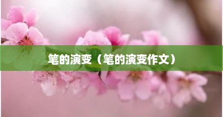 笔的演变（笔的演变作文）