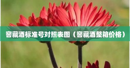 窖藏酒标准号对照表图（窖藏酒整箱价格）