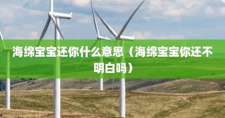 海绵宝宝还你什么意思（海绵宝宝你还不明白吗）