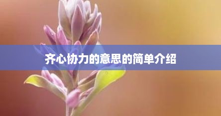 齐心协力的意思的简单介绍