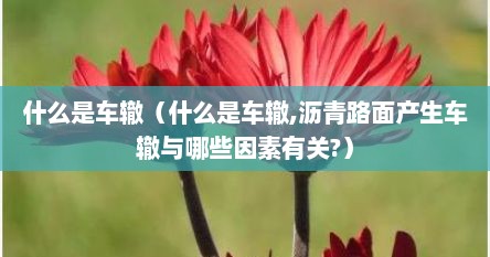 什么是车辙（什么是车辙,沥青路面产生车辙与哪些因素有关?）
