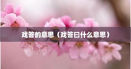 戏答的意思（戏答曰什么意思）
