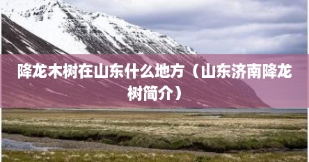 降龙木树在山东什么地方（山东济南降龙树简介）