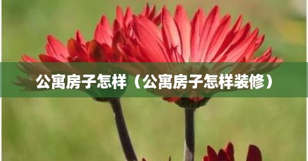 公寓房子怎样（公寓房子怎样装修）