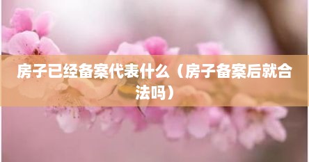 房子已经备案代表什么（房子备案后就合法吗）