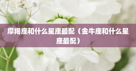 摩羯座和什么星座最配（金牛座和什么星座最配）