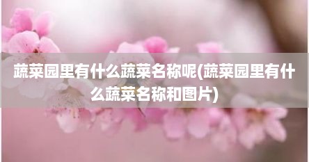 蔬菜园里有什么蔬菜名称呢(蔬菜园里有什么蔬菜名称和图片)