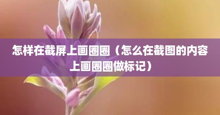 怎样在截屏上画圈圈（怎么在截图的内容上画圈圈做标记）