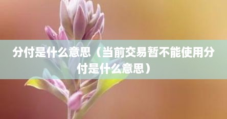 分付是什么意思（当前交易暂不能使用分付是什么意思）