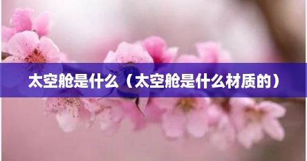 太空舱是什么（太空舱是什么材质的）