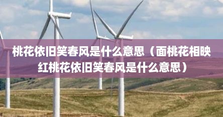 桃花依旧笑春风是什么意思（面桃花相映红桃花依旧笑春风是什么意思）