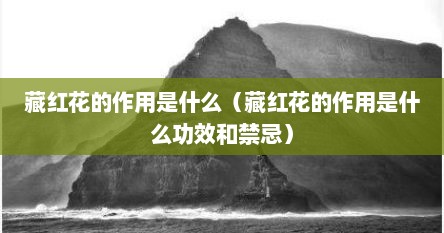 藏红花的作用是什么（藏红花的作用是什么功效和禁忌）
