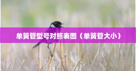 单簧管型号对照表图（单簧管大小）