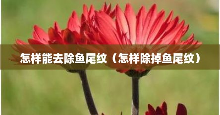怎样能去除鱼尾纹（怎样除掉鱼尾纹）