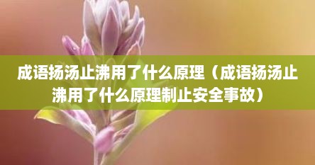 成语扬汤止沸用了什么原理（成语扬汤止沸用了什么原理制止安全事故）