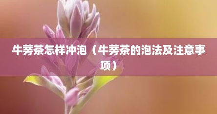 牛蒡茶怎样冲泡（牛蒡茶的泡法及注意事项）