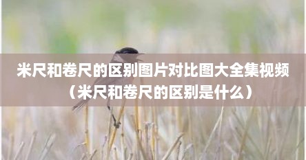 米尺和卷尺的区别图片对比图大全集视频（米尺和卷尺的区别是什么）