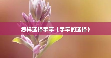 怎样选择手竿（手竿的选择）