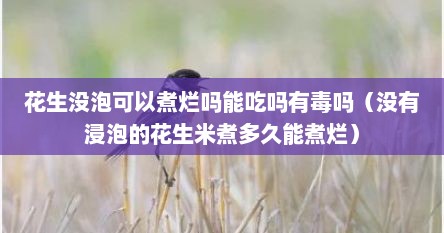 花生没泡可以煮烂吗能吃吗有毒吗（没有浸泡的花生米煮多久能煮烂）