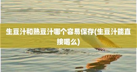 生豆汁和熟豆汁哪个容易保存(生豆汁能直接喝么)