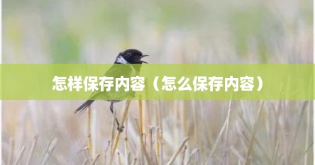 怎样保存内容（怎么保存内容）