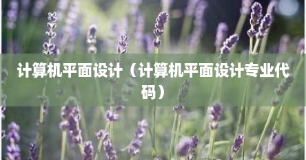计算机平面设计（计算机平面设计专业代码）