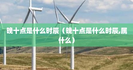 晚十点是什么时辰（晚十点是什么时辰,属什么）