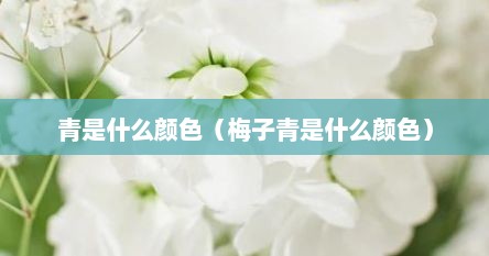 青是什么颜色（梅子青是什么颜色）