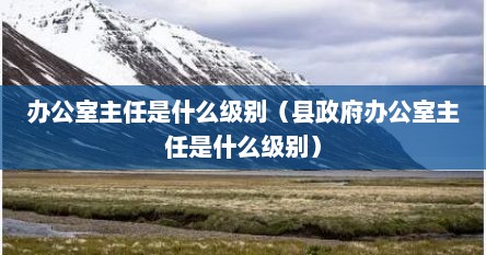 办公室主任是什么级别（县政府办公室主任是什么级别）