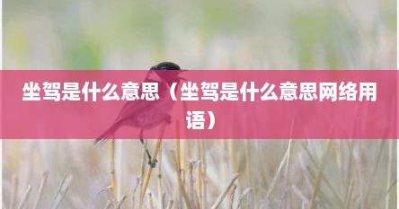 坐驾是什么意思（坐驾是什么意思网络用语）
