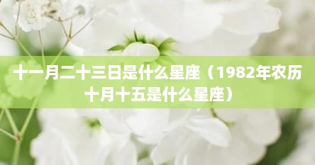 十一月二十三日是什么星座（1982年农历十月十五是什么星座）