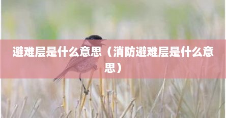 避难层是什么意思（消防避难层是什么意思）