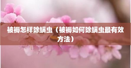 被褥怎样除螨虫（被褥如何除螨虫最有效方法）