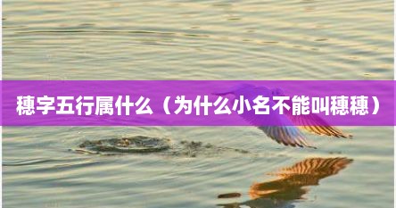 穗字五行属什么(为什么小名不能叫穗穗)