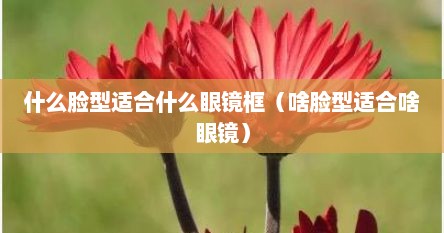 什么脸型适合什么眼镜框（啥脸型适合啥眼镜）