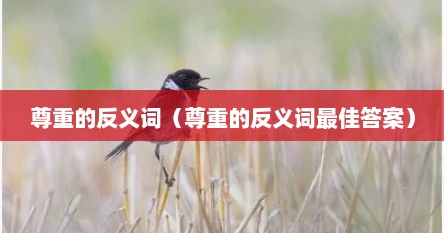 尊重的反义词（尊重的反义词最佳答案）