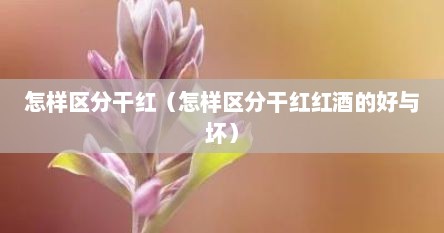 怎样区分干红（怎样区分干红红酒的好与坏）