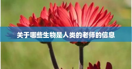 关于哪些生物是人类的老师的信息