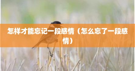 怎样才能忘记一段感情（怎么忘了一段感情）