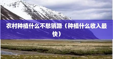 农村种植什么不愁销路（种植什么收入最快）