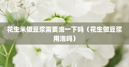 花生米做豆浆需要泡一下吗（花生做豆浆用泡吗）