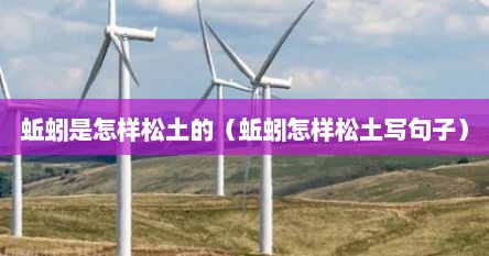 蚯蚓是怎样松土的（蚯蚓怎样松土写句子）