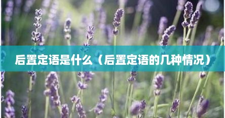 后置定语是什么（后置定语的几种情况）