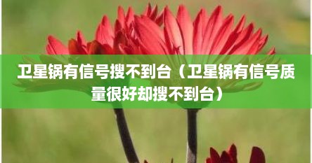 卫星锅有信号搜不到台（卫星锅有信号质量很好却搜不到台）