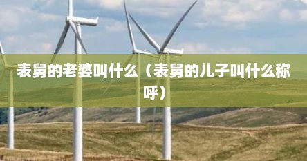 表舅的老婆叫什么（表舅的儿子叫什么称呼）