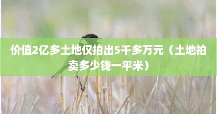 价值2亿多土地仅拍出5千多万元（土地拍卖多少钱一平米）