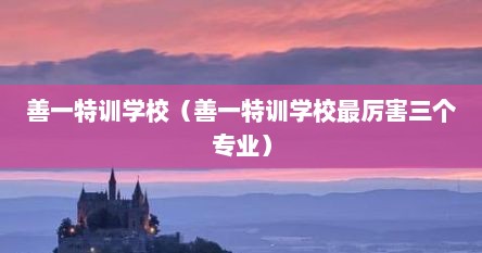 善一特训学校（善一特训学校最厉害三个专业）