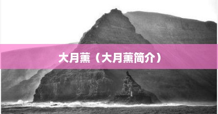 大月薰（大月薰简介）