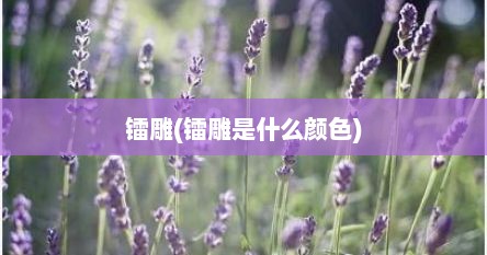 镭雕(镭雕是什么颜色)